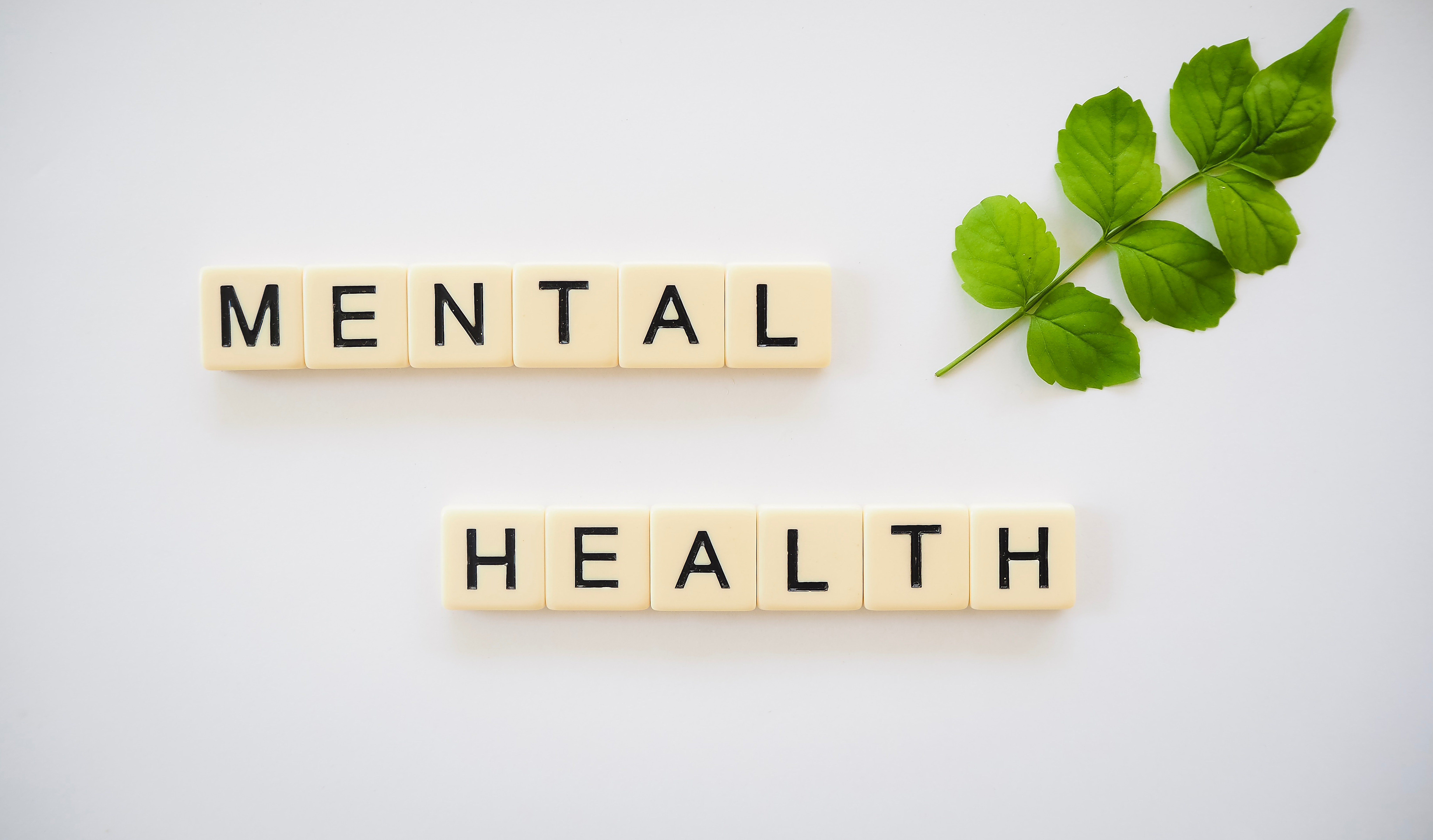 Mental Health Cover Image