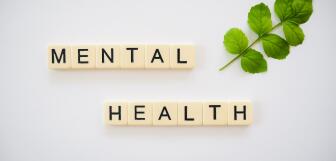 Mental Health Cover Image