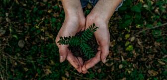 noah buscher x8ZStukS2PM unsplash 1