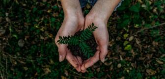 noah buscher x8ZStukS2PM unsplash