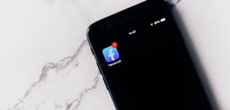 pexels oleg magni 2733673