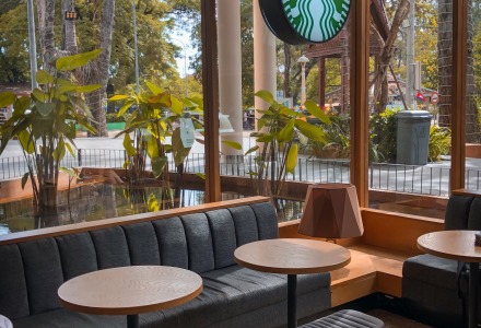 Starbucks Marketing Strategy: Tips For Your Business