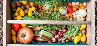 zoe schaeffer hmoDcZnB7uw unsplash