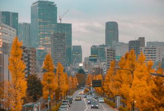 Autumn city