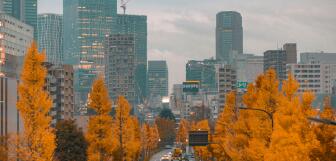 Autumn city