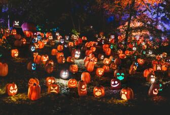 Pumpkins (2)