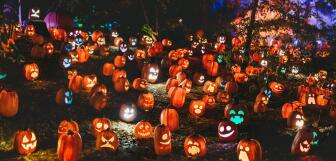 Pumpkins (2)