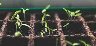 markus spiske vrbZVyX2k4I unsplash