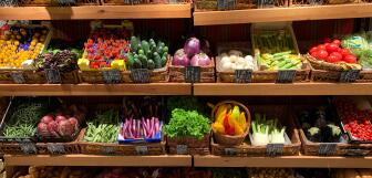 raul gonzalez escobar ZpIskW1Tuvc unsplash v3