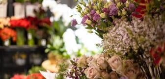 sonia fotograf sz7NTRGFDHA unsplash v2