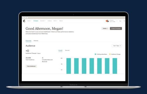 Mailchimp targeted campaigns v2