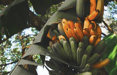 iccup ZowJcavBYt4 unsplash 1