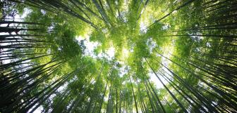 kazuend 19SC2oaVZW0 unsplash