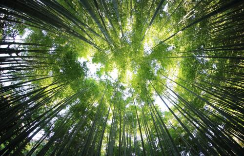 kazuend 19SC2oaVZW0 unsplash