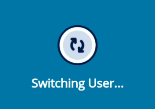 switching user
