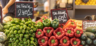 AdobeStock 557035025