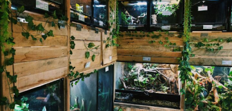 Pets Paradise Display