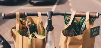 guus baggermans fbdpzqoxwuy unsplash